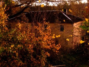 IMG_7164 (1)